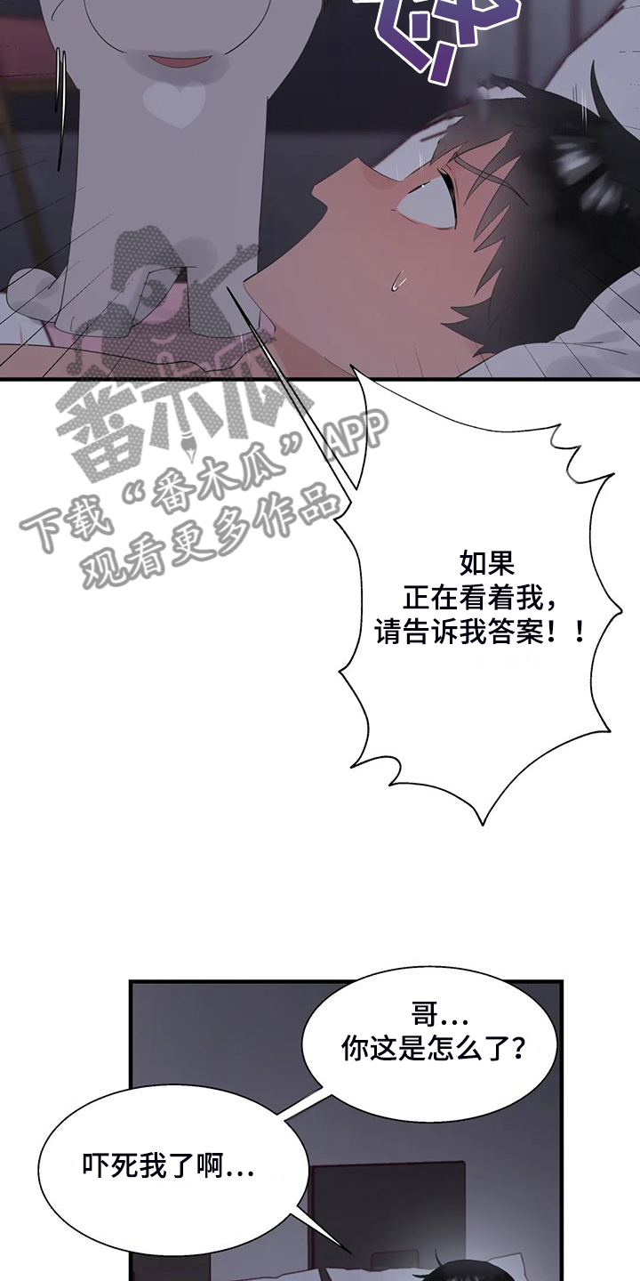 第46章：夜半来电13