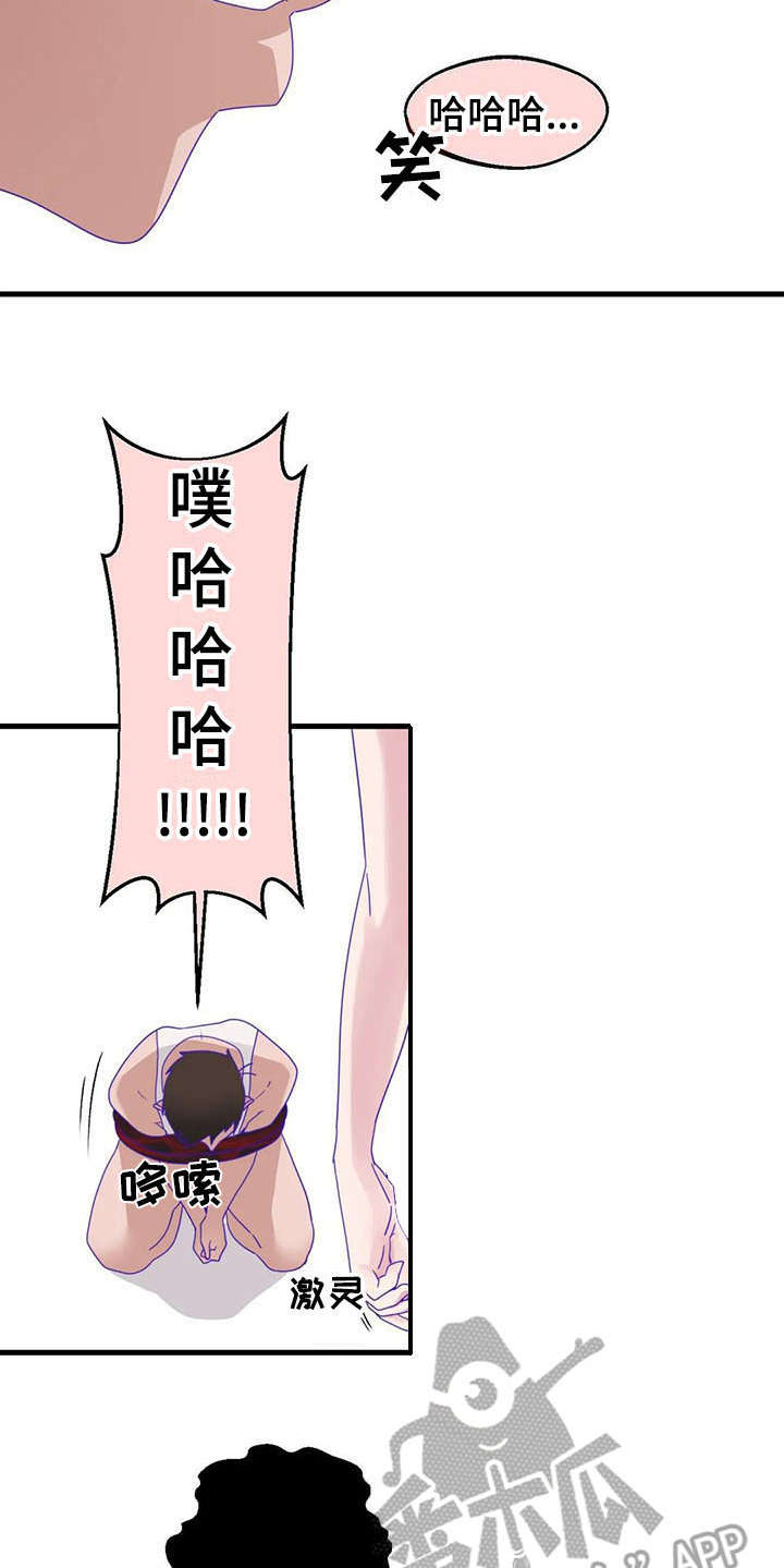 第15章：强势5