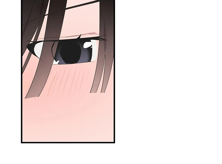 第41章：按照本能17