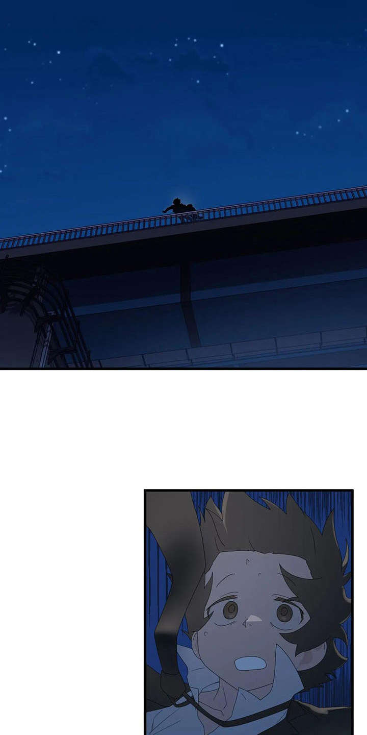 第11章：跳桥7