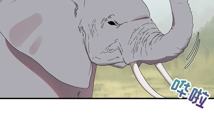 第30章：学游泳17