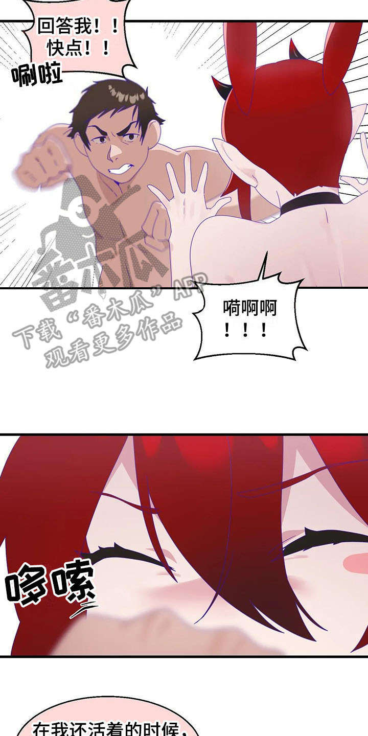 第15章：强势11