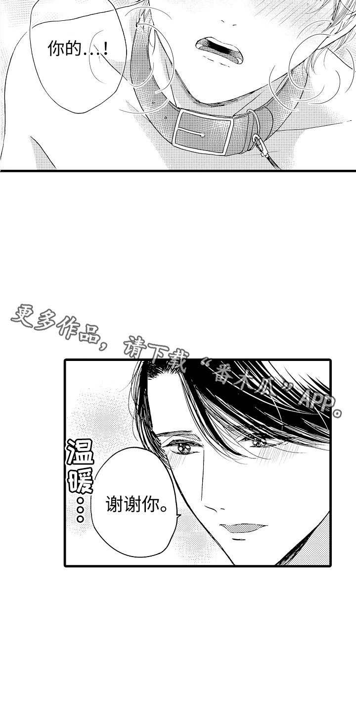 第15章：变成我的10