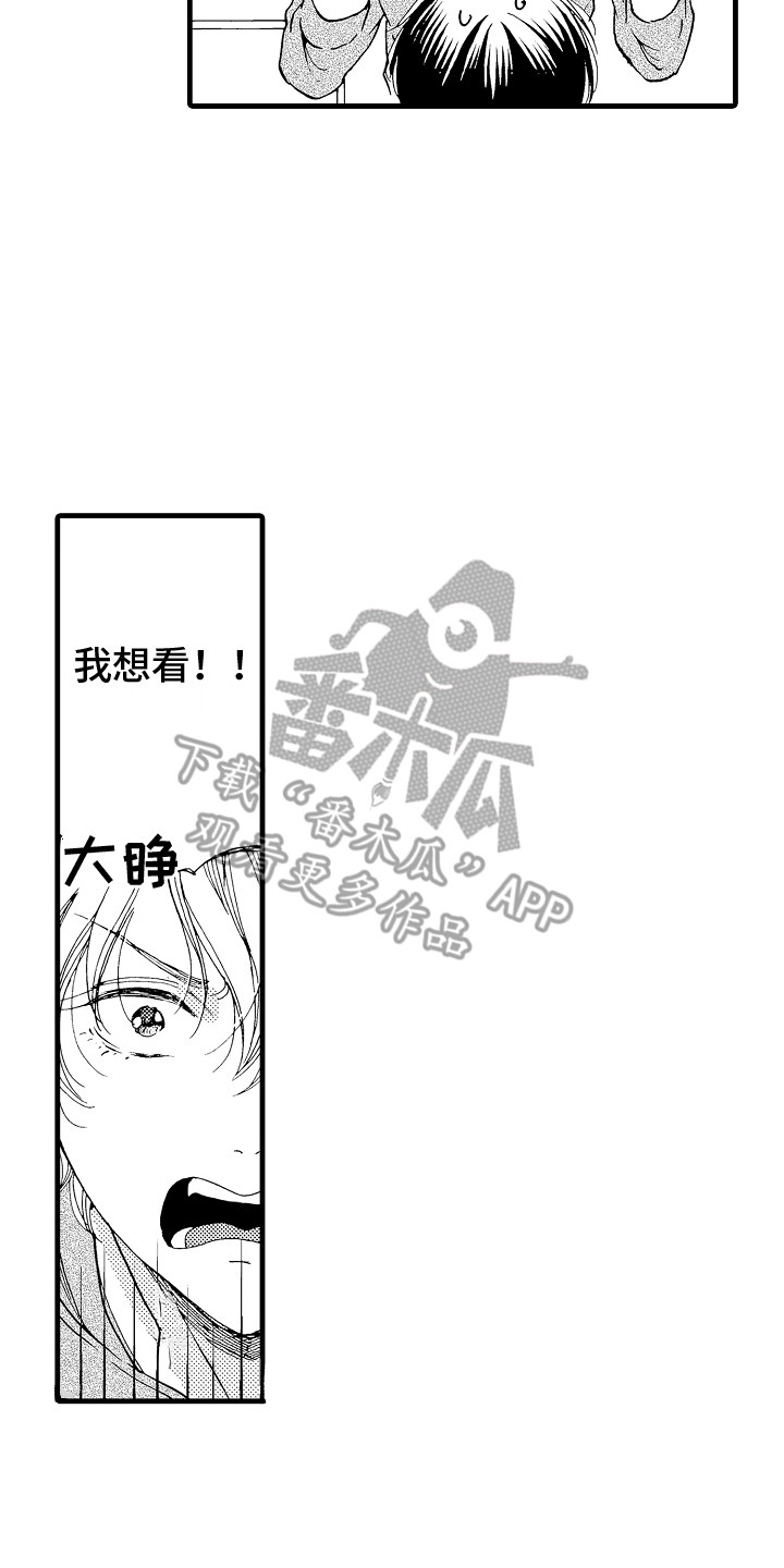 第4章：真正的粉丝1