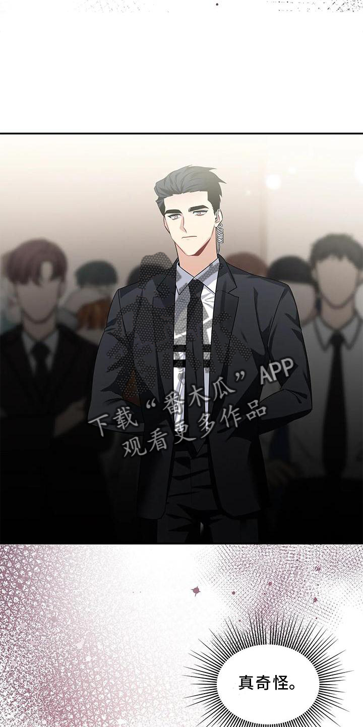 第25章：单独11