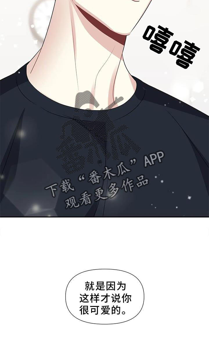 第26章：双关23
