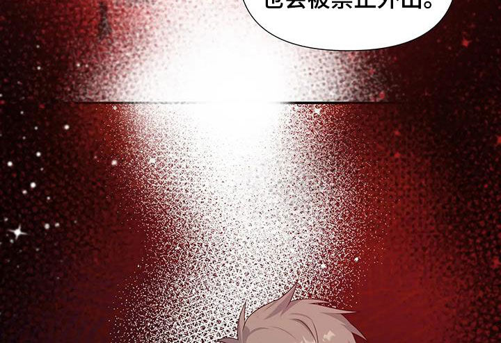 第31章：太可爱了11