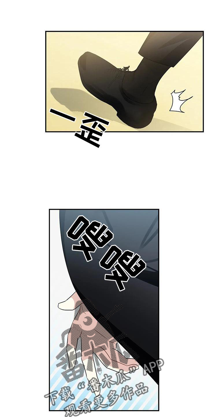 第19章：约定19