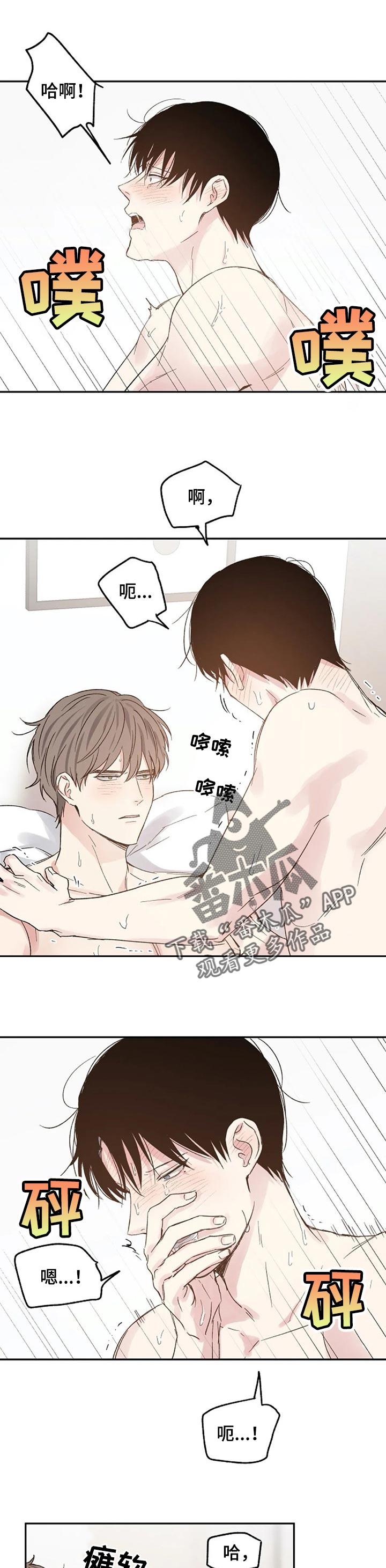 第27章：只是爱好4