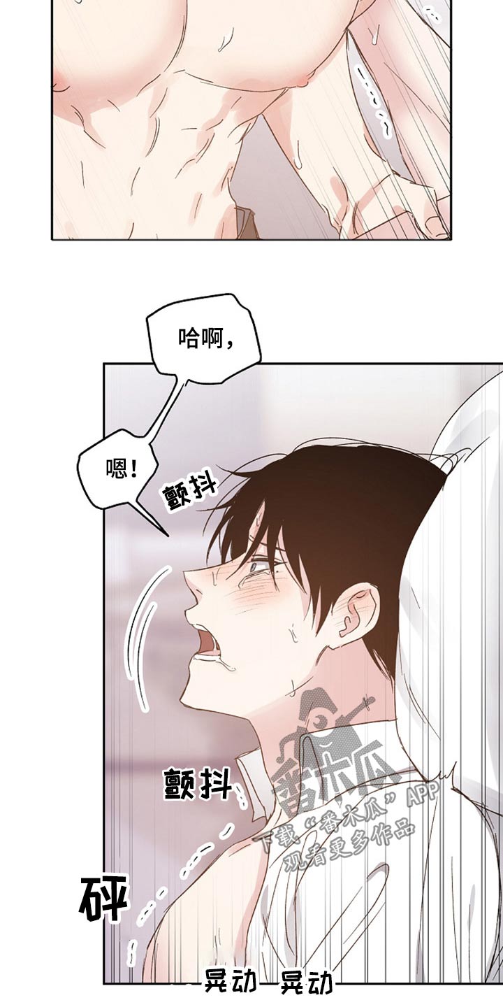 第60章：解释7