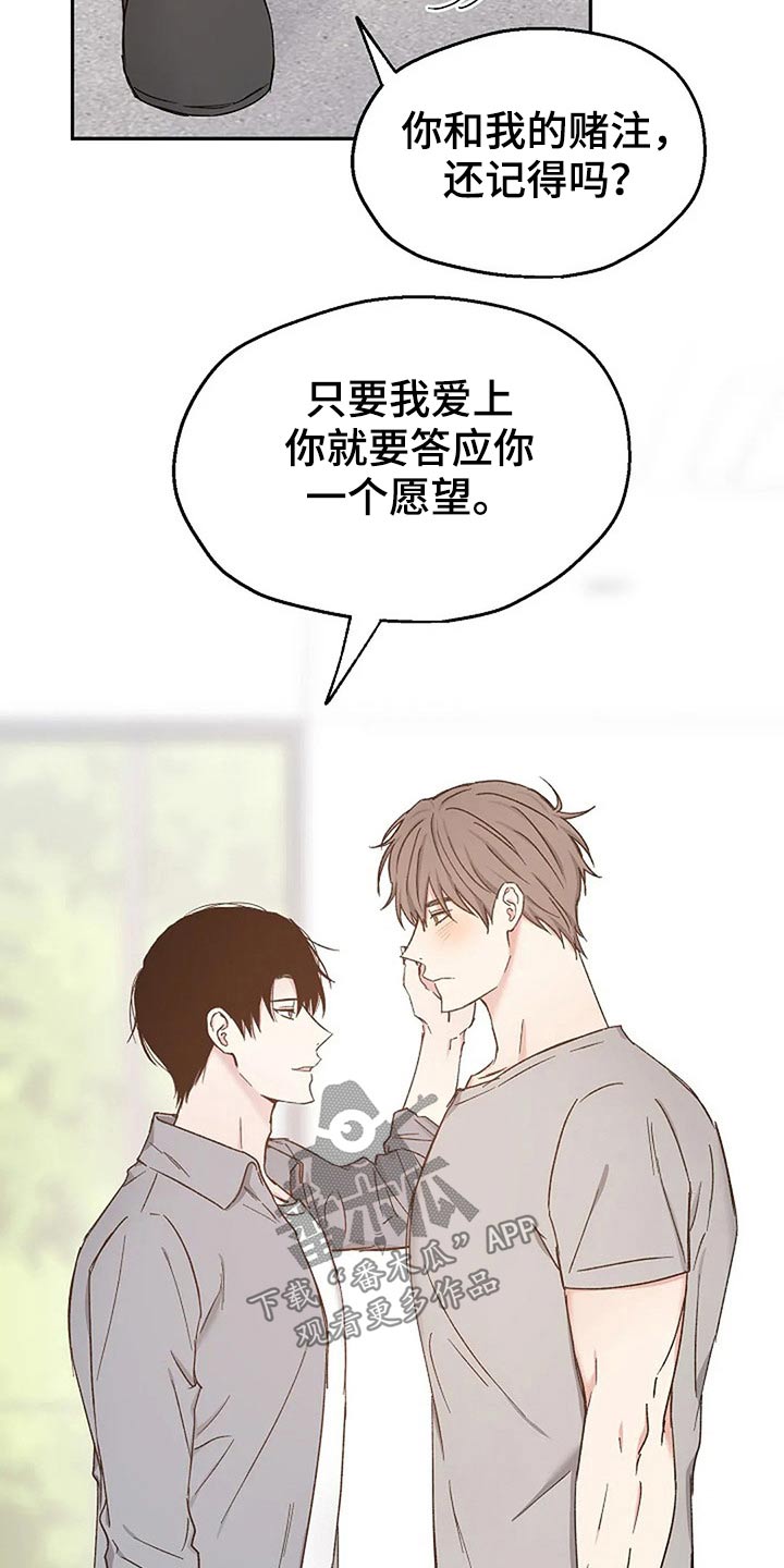 第82章：爱的结局【完结】13