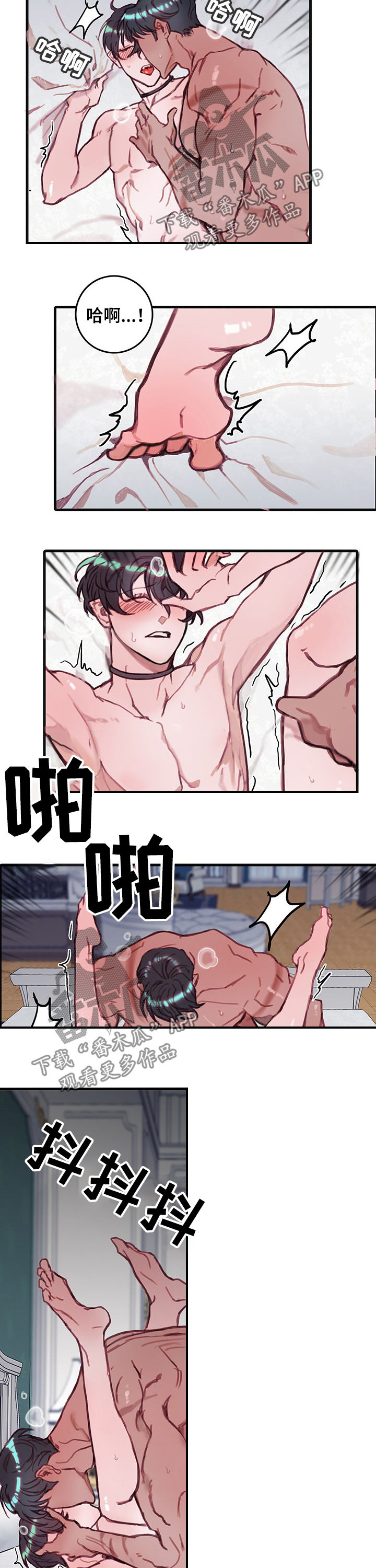 第25章：再来5