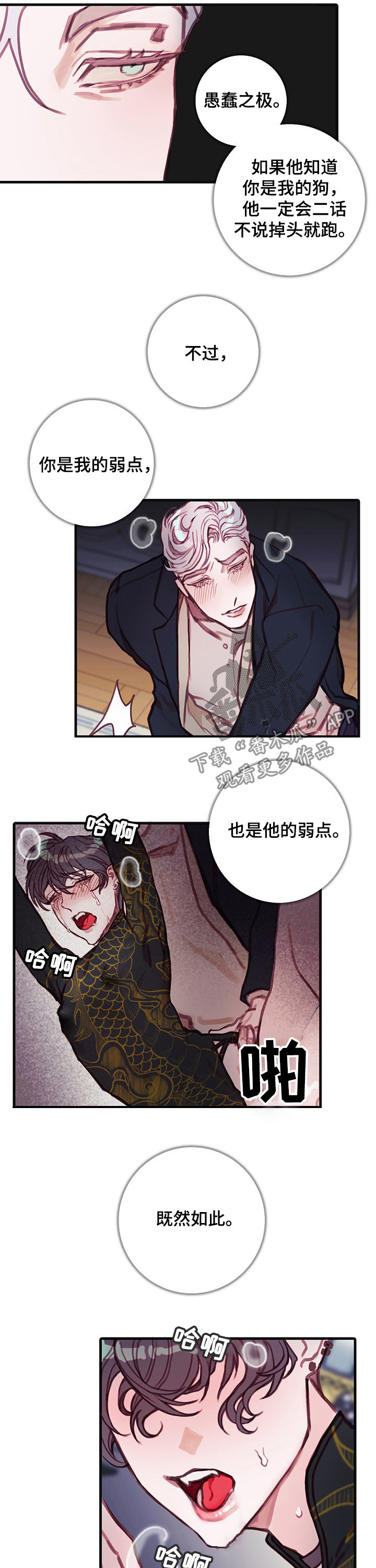 第29章：弱点7