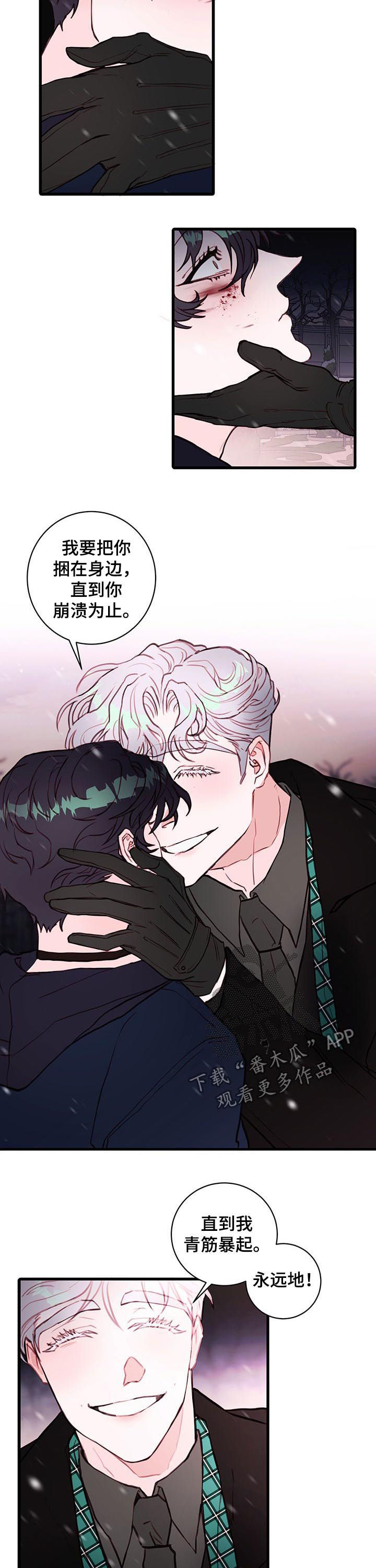 第63章：彻底疯了6
