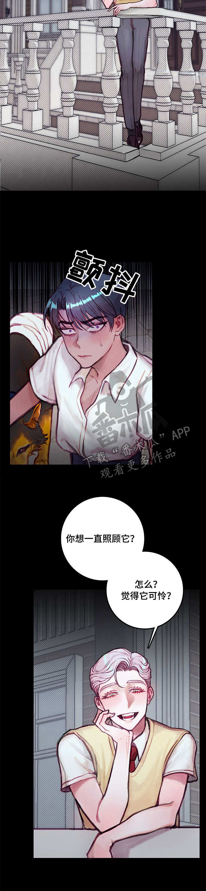 第12章：宠物5
