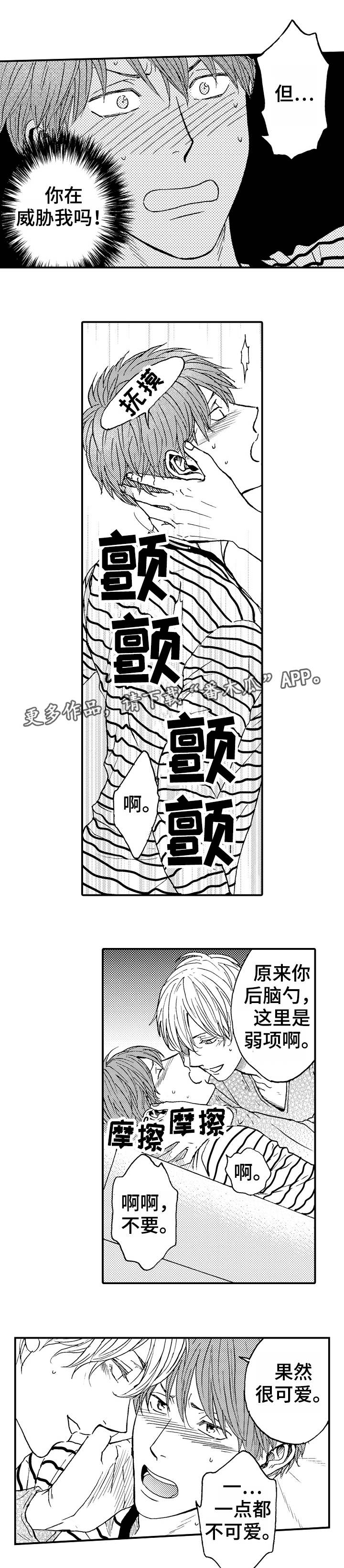 第4章：条件2