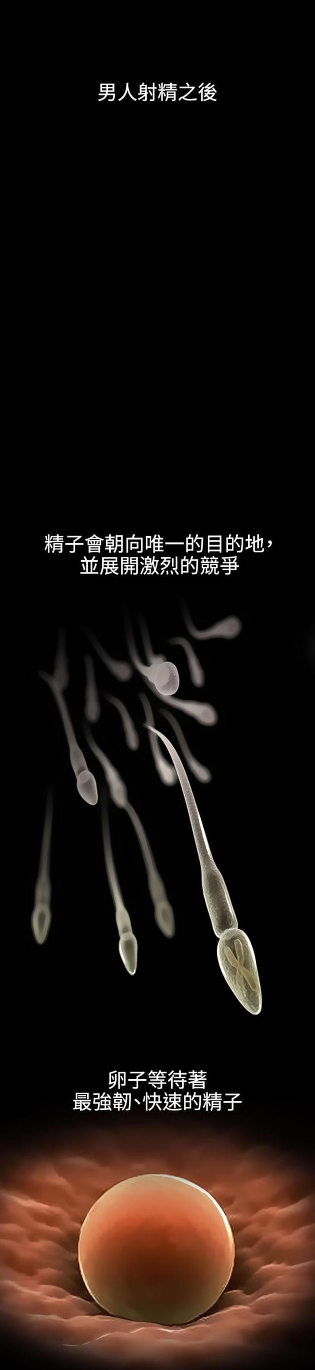 第40话0