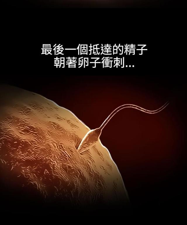 第40话1