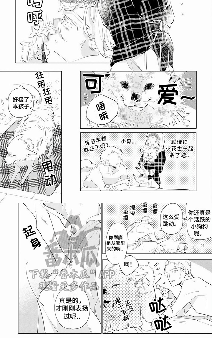 第5章：抑制5