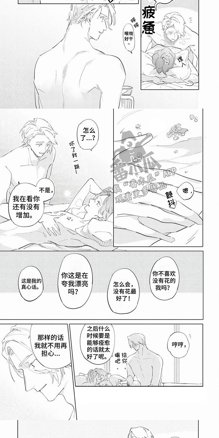 第20章：【番外】新的花朵1