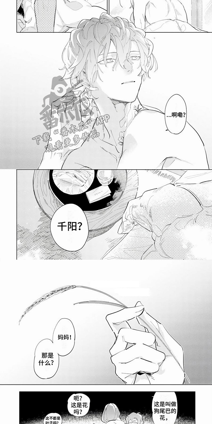 第11章：症状5