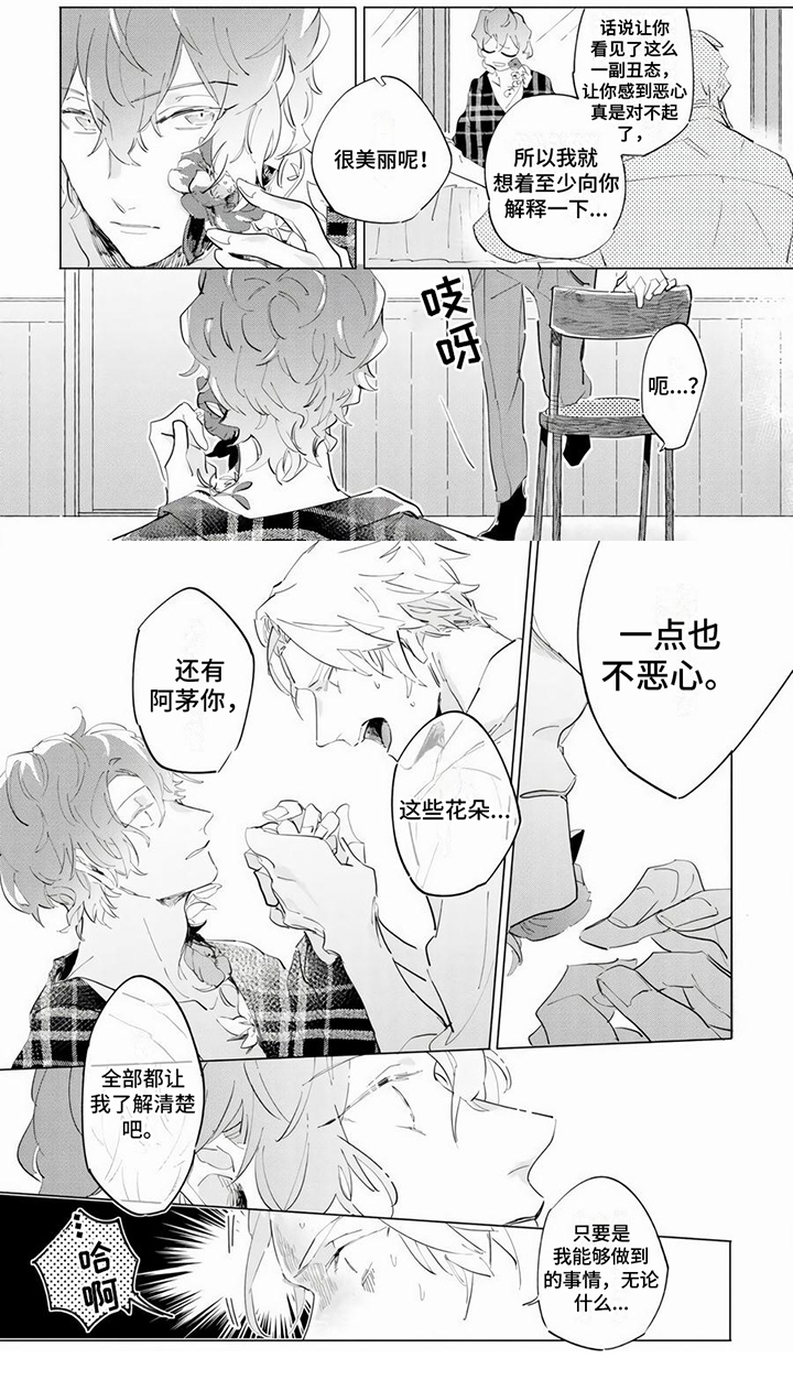 第2章：花朵5