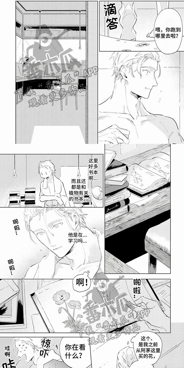 第6章：温柔0