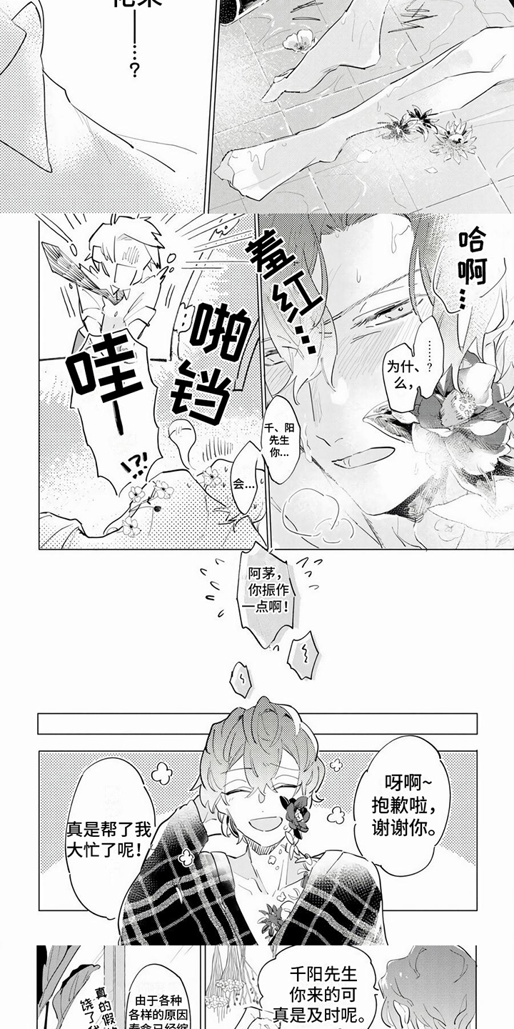 第2章：花朵3