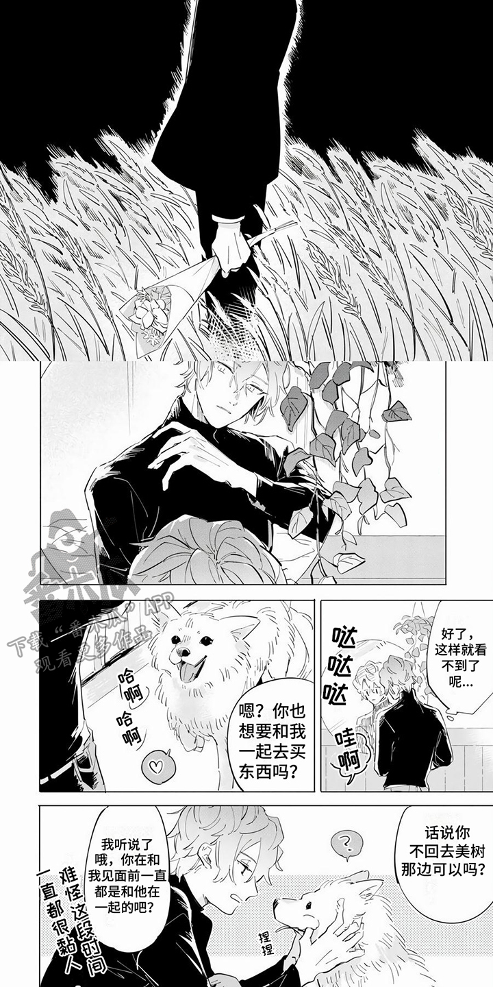 第12章：约定3
