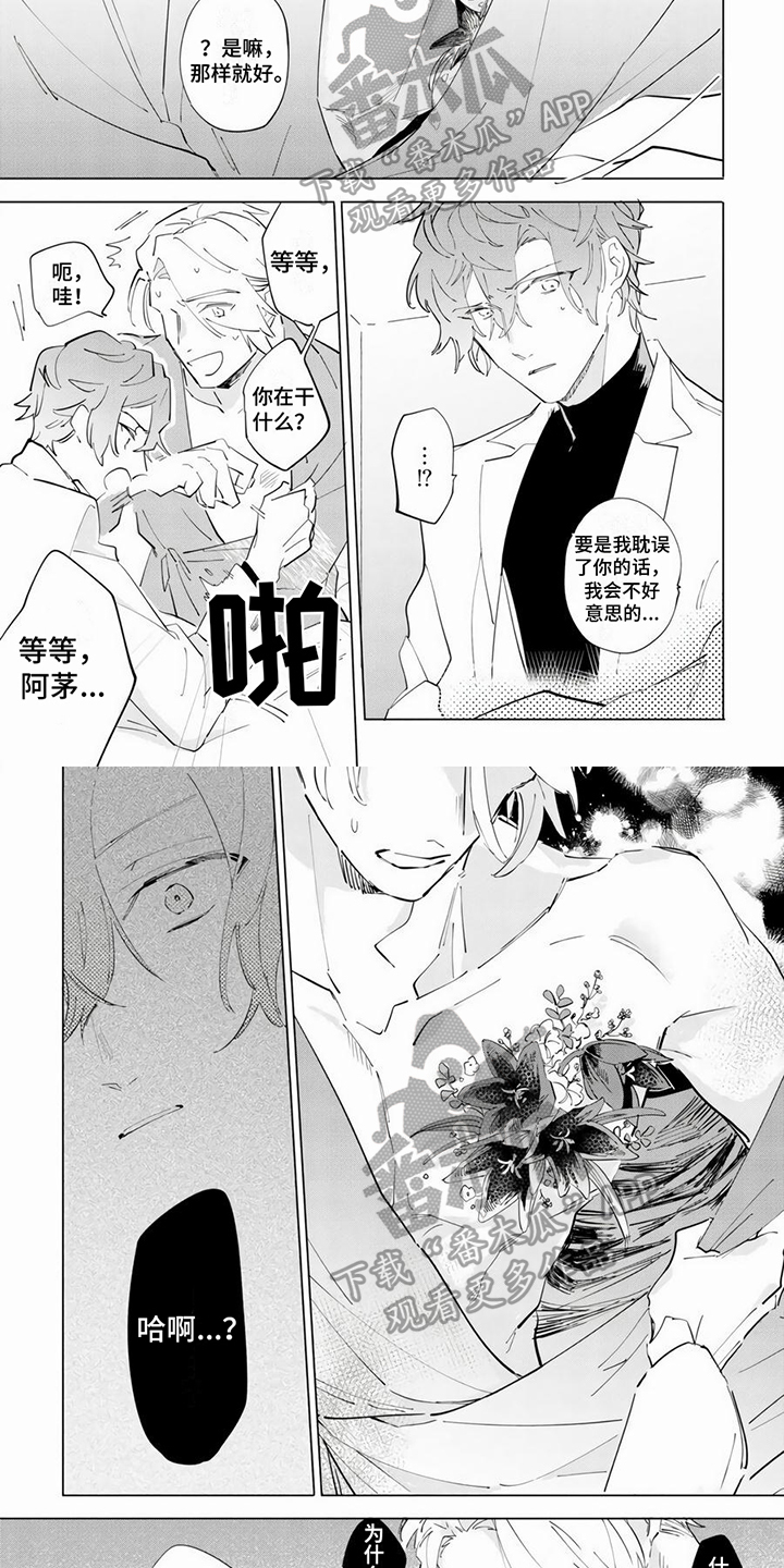 第13章：感染4