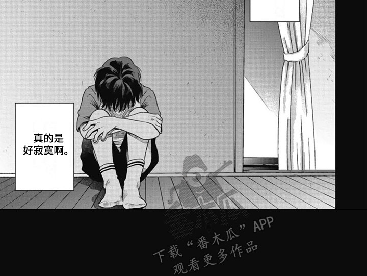 第16章：铃声 6