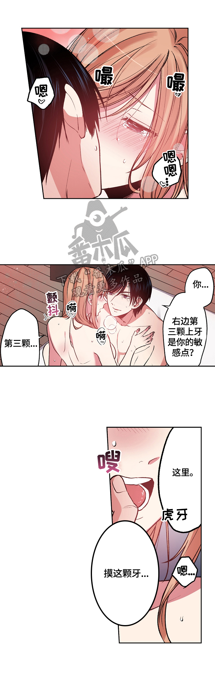 第11章：陌生人0