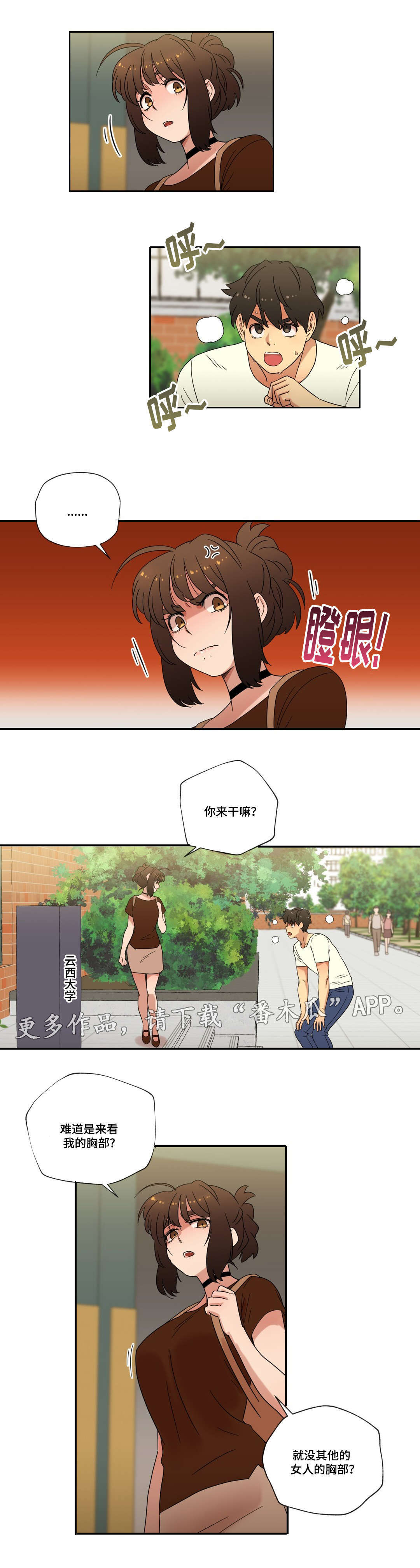 第49章：重逢13