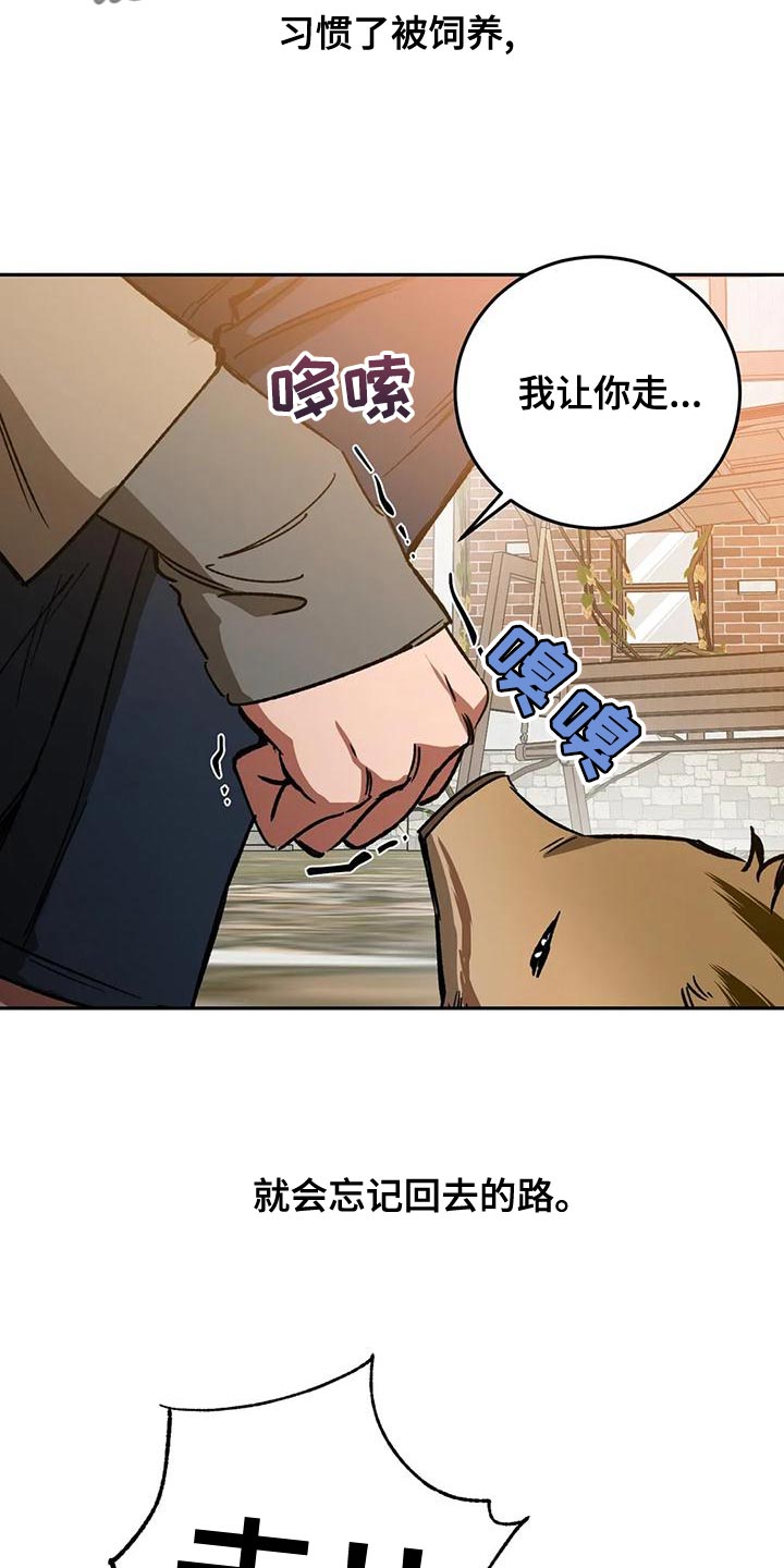 第135章：迷路11