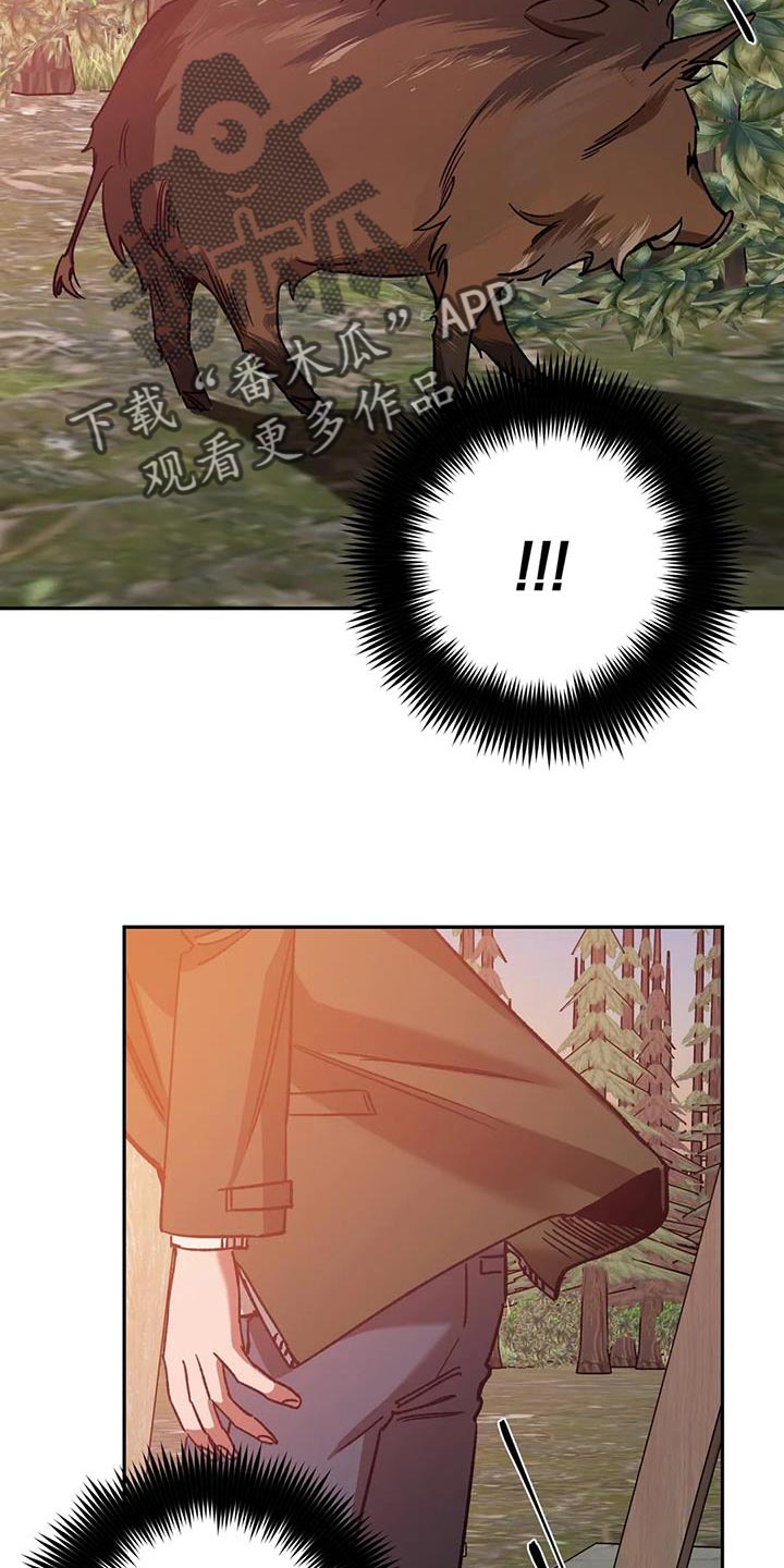 第149章：野猪17
