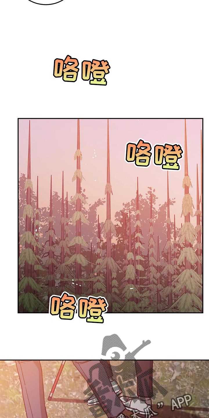 第150章：永远在一起【完结】7