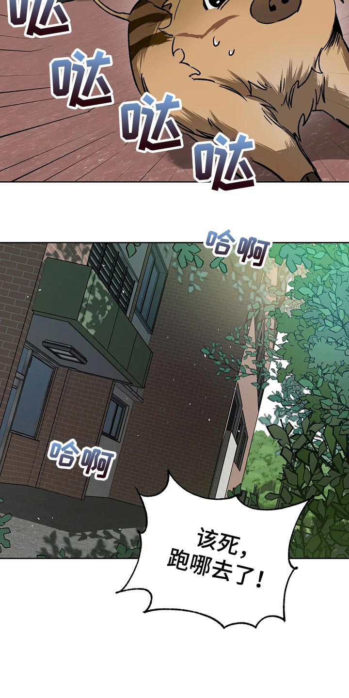 第114章：野猪不是玩具24