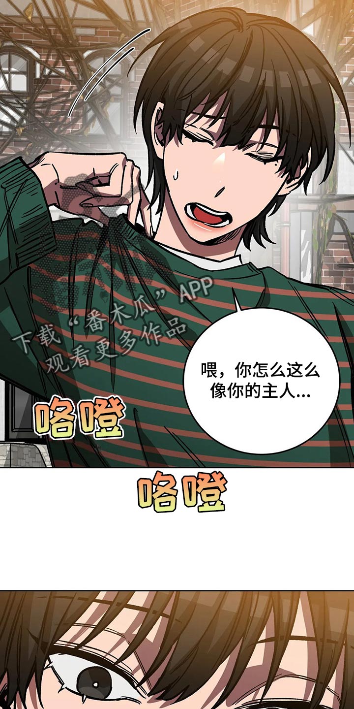 第110章：渴望17
