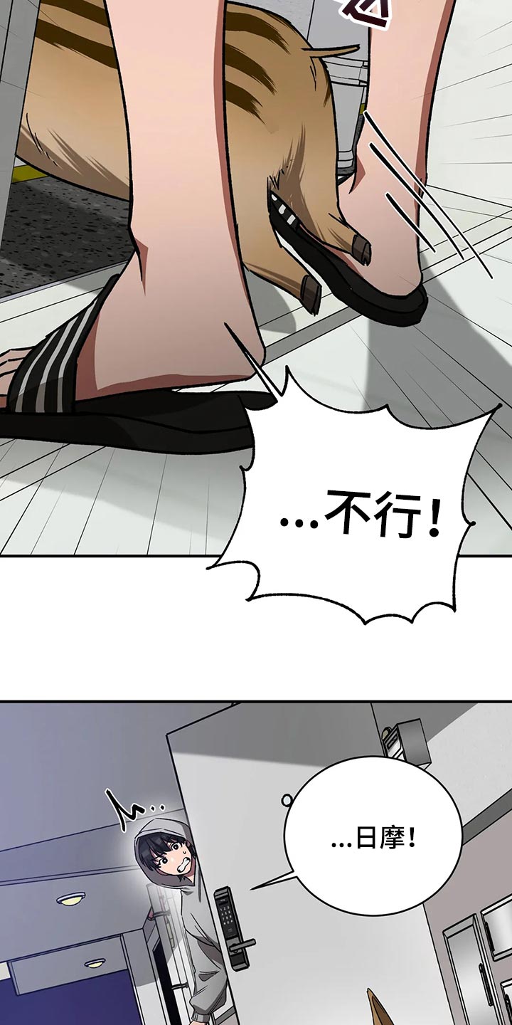 第122章：回来了16