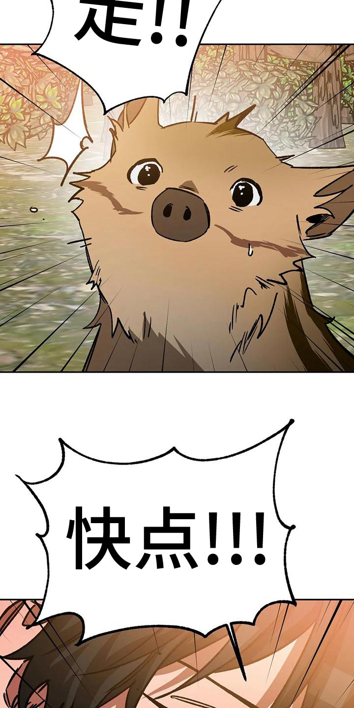 第135章：迷路12