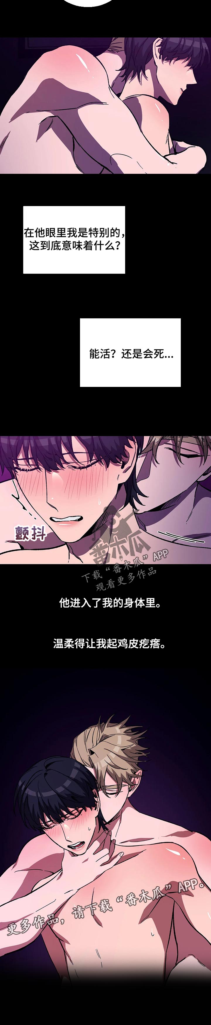 第51章：特别7