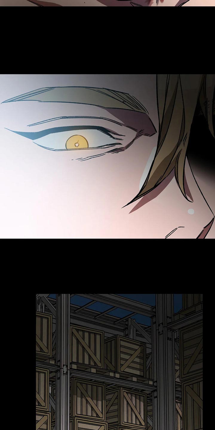 第78章：计划19