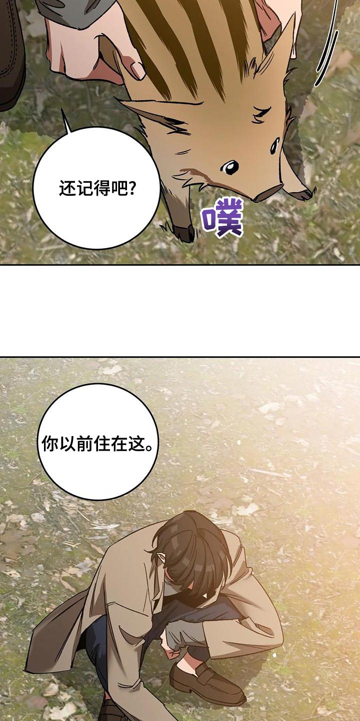 第135章：迷路5