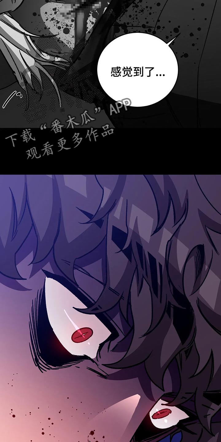 第116章：诱饵22