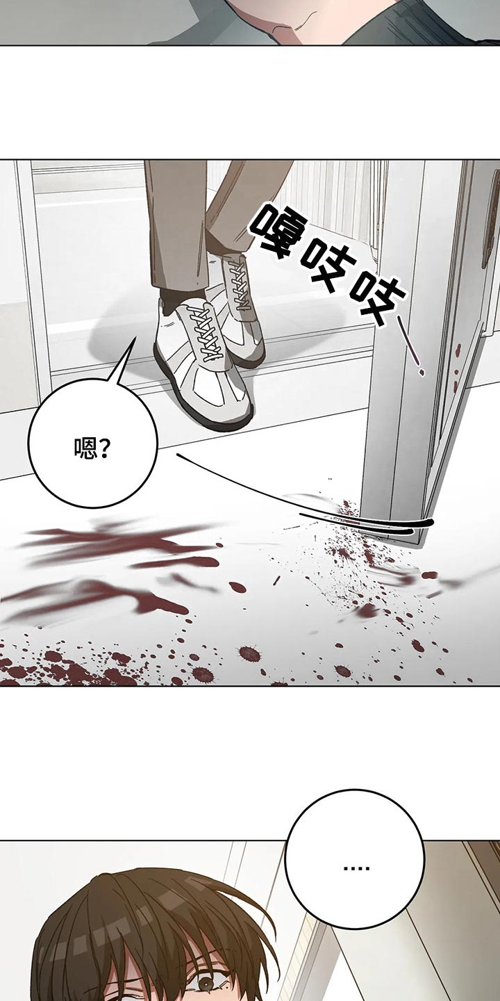第78章：计划15