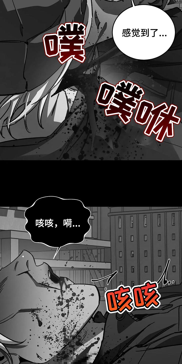 第116章：诱饵21