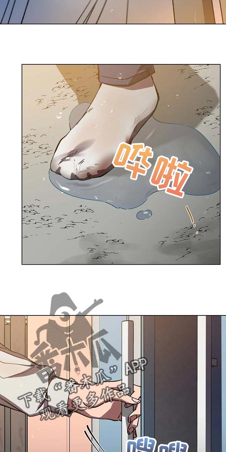 第77章：幻想5