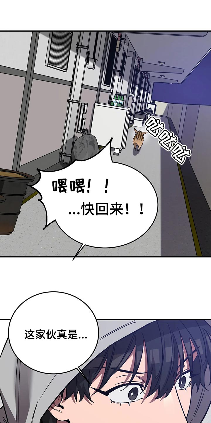 第122章：回来了18