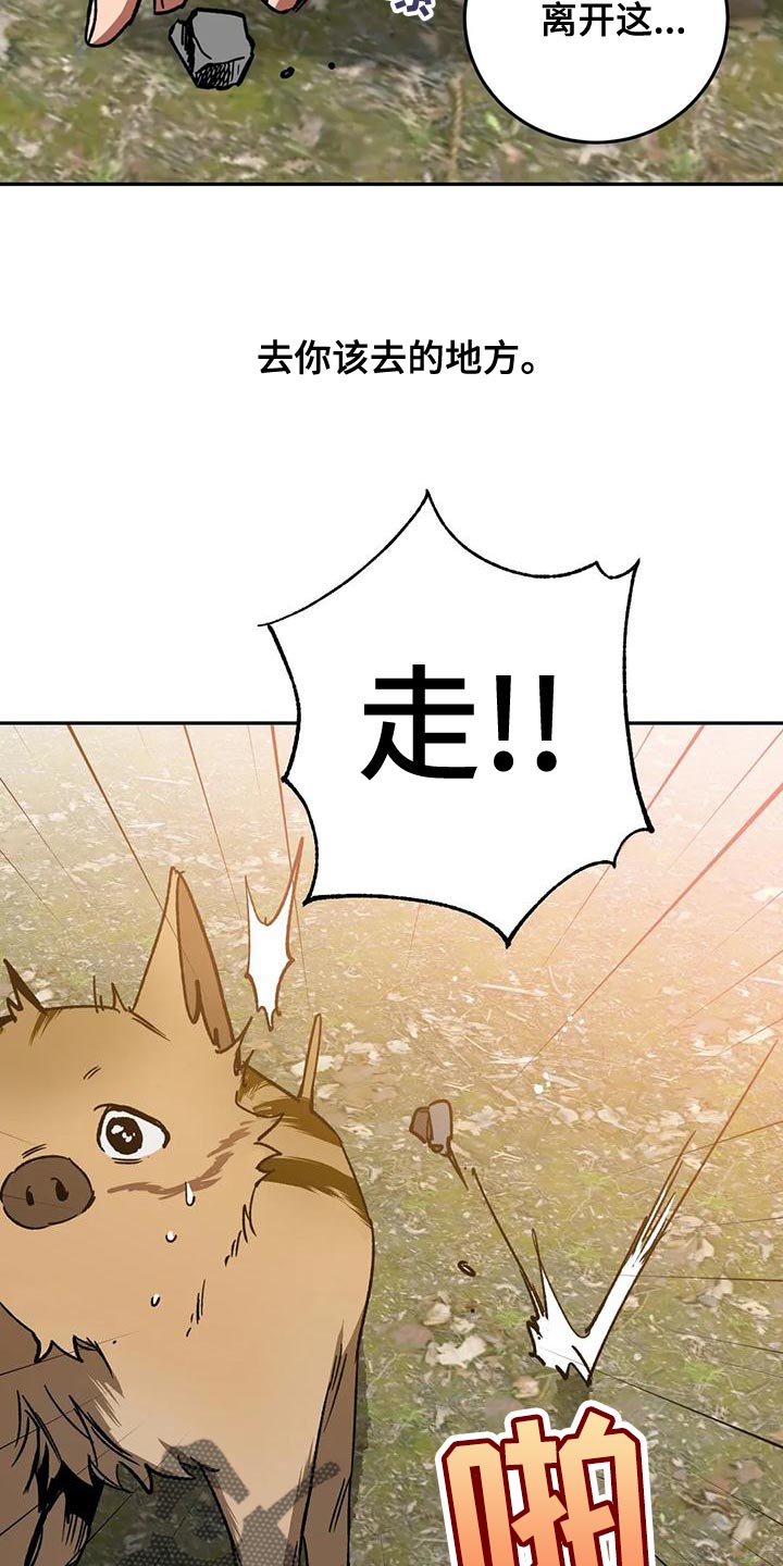 第135章：迷路16