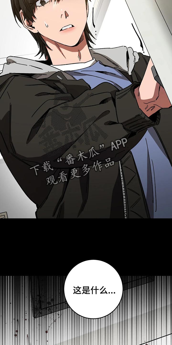 第78章：计划16